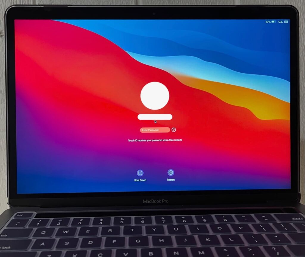Cat bites MacBook Pro screen - LCD repair process 3 A2289 Repaired
